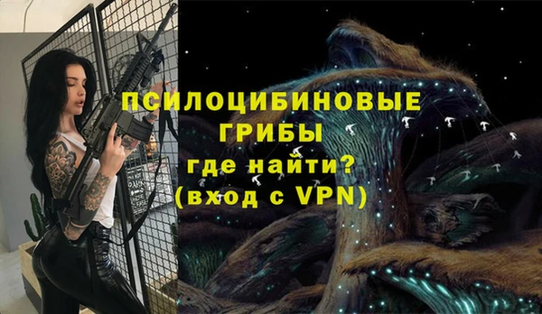 прущий лед Пестово