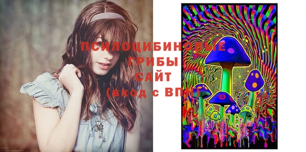 скорость Алексин