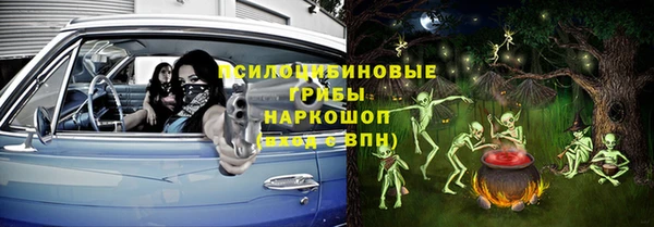 сатива Алзамай