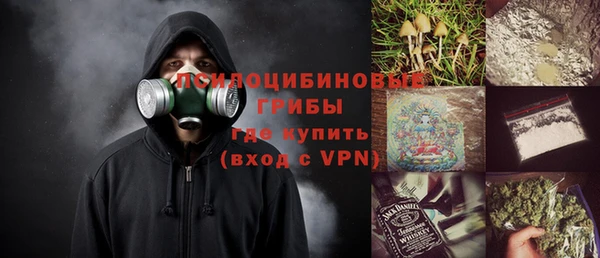 сатива Алзамай