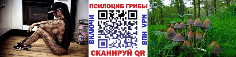 даркнет сайт  Моздок  Галлюциногенные грибы Magic Shrooms 